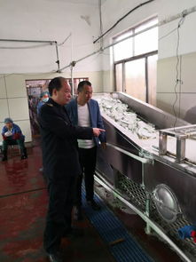嘉祥县卫生监督所加强餐饮具集中消毒监督 保障群众舌尖上的安全
