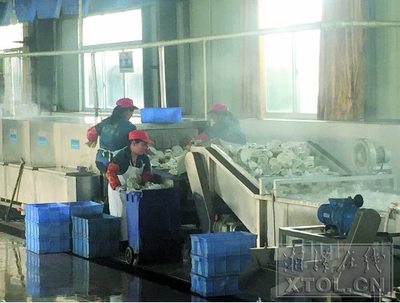 湘潭餐饮具消毒顽疾 曝光一月余，部分整改结果速览